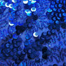 Fame Stretch Mesh Sequin Polyester Fabric - 2-Way Stretch, Embroidered Sequins, 50" Width, 287 GSM (1 Yard)