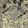 Fame Stretch Mesh Sequin Polyester Fabric - 2-Way Stretch, Embroidered Sequins, 50" Width, 287 GSM (1 Yard)