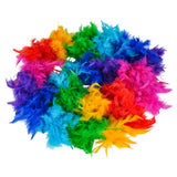 Rainbow Boa Costume Accessory (1 PC)
