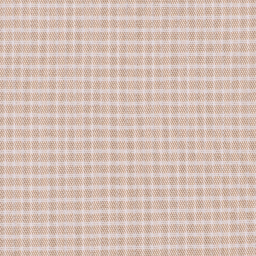 Beige/White Checks Shirting