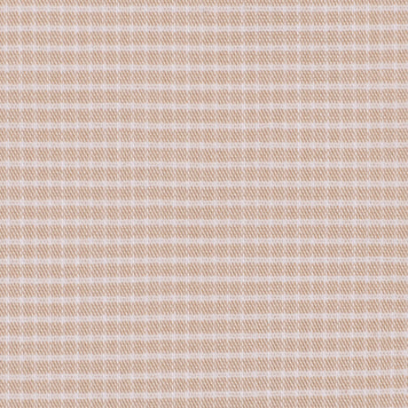Beige/White Checks Shirting