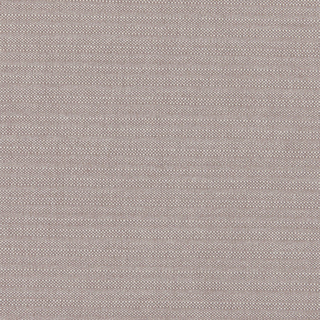 Warm Beige Striped Woven