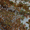 Beaded Sequined Floral Lace Fabric
