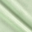 Sage Solid Minky Fabric,