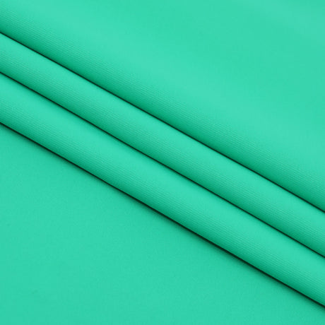 Microfiber Nylon Spandex Jersey Fabric