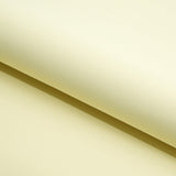 Microfiber Nylon Spandex Jersey Fabric