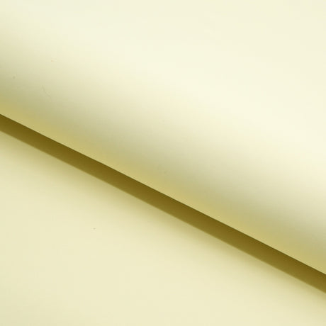Microfiber Nylon Spandex Jersey Fabric