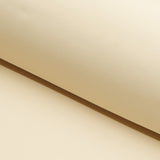 Microfiber Nylon Spandex Jersey Fabric