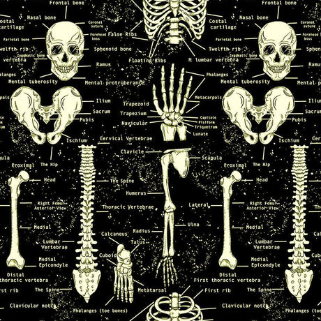 Cotton Glow in the Dark Skeletons Fabric Black 44/45"