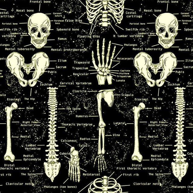 Cotton Glow in the Dark Skeletons Fabric Black 44/45"