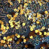 Stretch Mesh Sequin Fabric