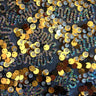 Stretch Mesh Sequin Fabric
