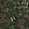Fame Stretch Mesh Sequin Polyester Fabric - 2-Way Stretch, Embroidered Sequins, 50" Width, 287 GSM (1 Yard)