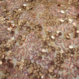Fame Stretch Mesh Sequin Polyester Fabric - 2-Way Stretch, Embroidered Sequins, 50" Width, 287 GSM (1 Yard)