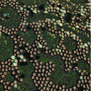Fame Stretch Mesh Sequin Polyester Fabric - Embroidered Sequins, 50" Width, 2-Way Stretch (1 Yard)
