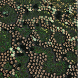 Fame Stretch Mesh Sequin Polyester Fabric - Embroidered Sequins, 50" Width, 2-Way Stretch (1 Yard)
