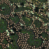 Fame Stretch Mesh Sequin Polyester Fabric - Embroidered Sequins, 50" Width, 2-Way Stretch (1 Yard)
