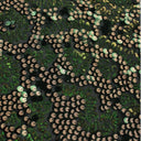Stretch Mesh Sequin Fabric