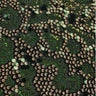 Stretch Mesh Sequin Fabric