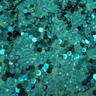 Fame Stretch Mesh Sequin Polyester Fabric - Embroidered Sequins, 50" Width, 2-Way Stretch (1 Yard)