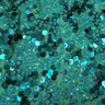Stretch Mesh Sequin Fabric