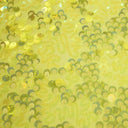Stretch Mesh Sequin Fabric