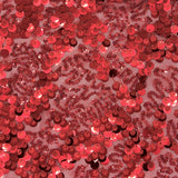 Fame Stretch Mesh Sequin Polyester Fabric - Embroidered Sequins, 50" Width, 2-Way Stretch (1 Yard)
