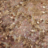 Stretch Mesh Sequin Fabric