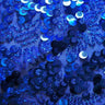 Stretch Mesh Sequin Fabric