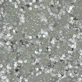 Fame Stretch Mesh Sequin Polyester Fabric - Embroidered Sequins, 50" Width, 2-Way Stretch (1 Yard)
