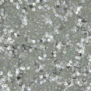 Stretch Mesh Sequin Fabric