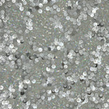 Stretch Mesh Sequin Fabric