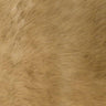 Solid Mink Faux Fur Acrylic Polyester Fabric - Solid Mink Faux Fur, 60" Width, 1-2" Pile Length, 1100 GSM (1 Yard)