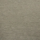 Chenille Fabric DUKE Shiny Subtle Strie Look