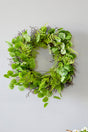 22" Eucalyptus Fern Wreath