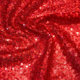 Stretch Mesh Sequin Fabric