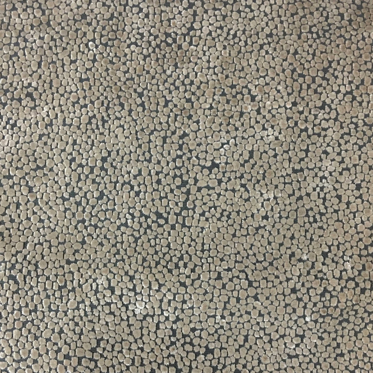 Burnout Velvet Upholstery Fabric Tuscany Dots