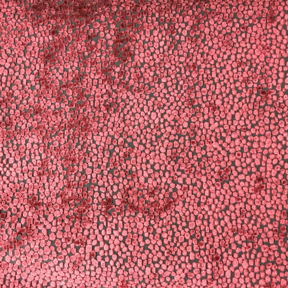 Burnout Velvet Upholstery Fabric Tuscany Dots