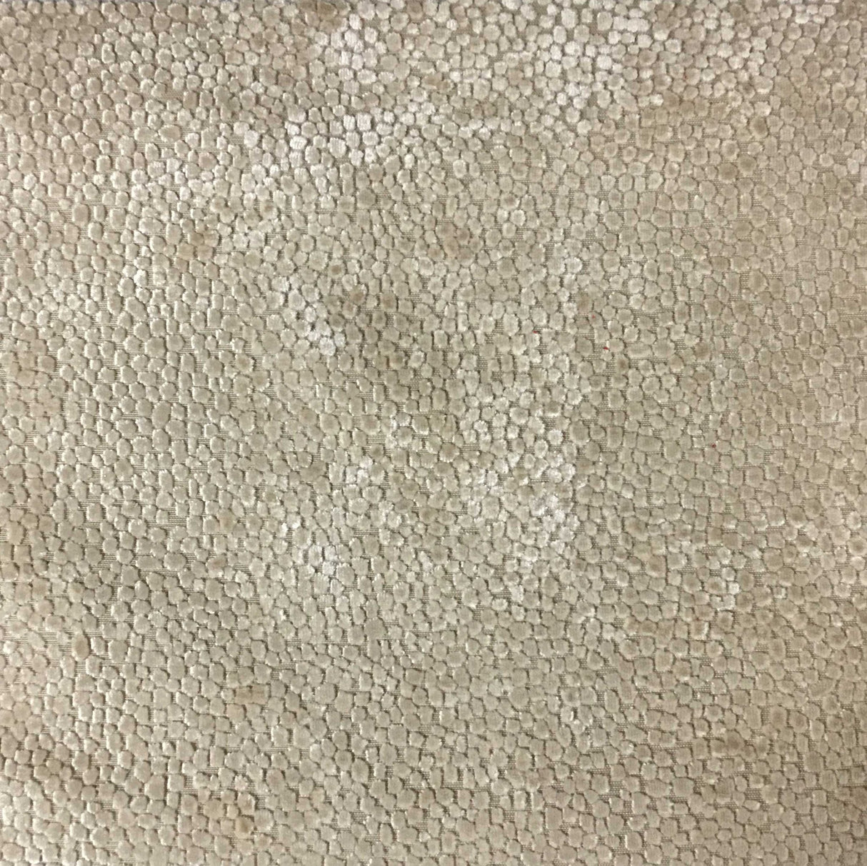 Burnout Velvet Upholstery Fabric Tuscany Dots