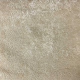 Burnout Velvet Upholstery Fabric Tuscany Dots