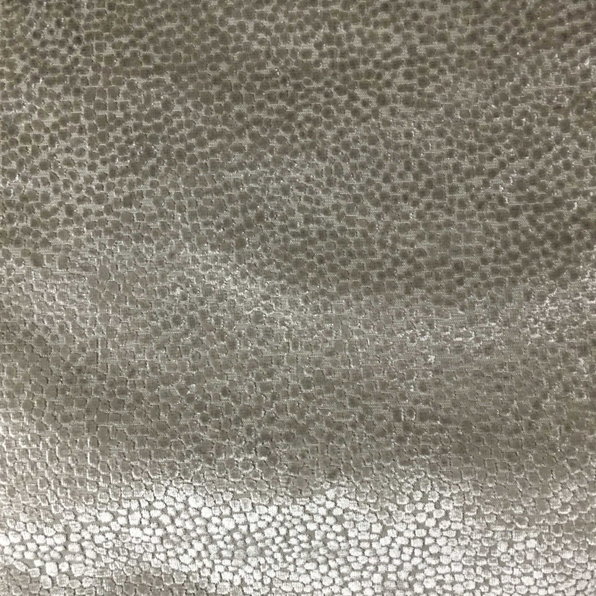 Burnout Velvet Upholstery Fabric Tuscany Dots