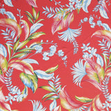 Swim Knit Poly Spandex Foliage on Coral
