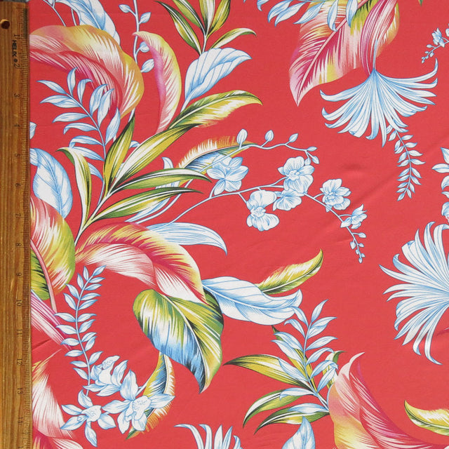 Swim Knit Poly Spandex Foliage on Coral
