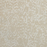Chenille Jacquard Upholstery Fabric Francesca