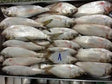 Fresh Hilsha 500gm