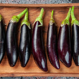Fingerling Mix Eggplant Heirloom Seeds Good for Containers Patio and Balcony Organic Non GMO