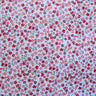 Mini Daisy Floral Poly Cotton Fabric - Fuchsia, Purple, Red, Royal Blue Mini Daisy Floral, 58/60" Width
