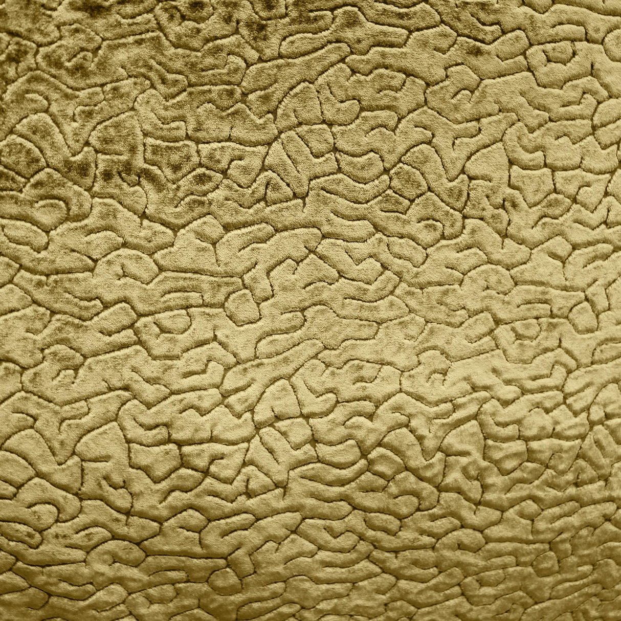 Galil Textured Velvet Fabric - Abstract Pattern, 55" Width (1 Yard)