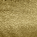 Galil Textured Velvet Fabric - Abstract Pattern, 55" Width (1 Yard)