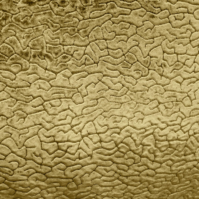 Galil Textured Velvet Fabric - Abstract Pattern, 55" Width (1 Yard)
